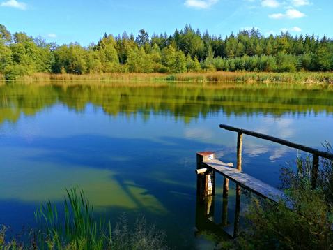 Parkování, kola – fotografie 1